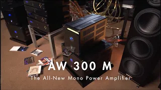 Electrocompaniet AW 300 M: The All-New Mono Power Amplifier