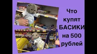 Что купят БАСИКИ на 500 рублей? Распаковка куклы Enchantimals Серж Скунси с питомцем Кейпером.