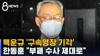 백운규 구속영장 기각…한동훈 "부패 범죄 수사 제대로" / SBS