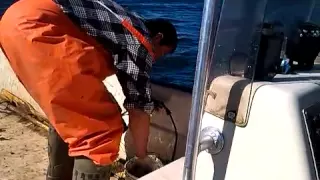 lobster fishing