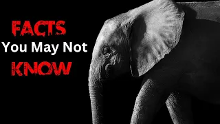 Shocking Elephant Facts| Interesting facts about Elephants|#elephantfacts