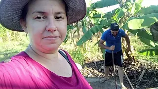 irrigação do milho/furando poço/problema na mina/adubando os mamão #vidanaroça #sitio