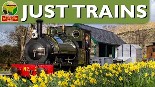 Scenic Steam Trains to Relax to