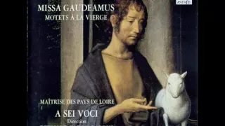 Josquin   Missa Gaudeamus & Motets a la Vierge