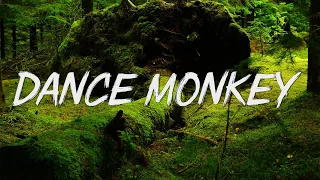 Dance Monkey - Tones and I (Lyrics)