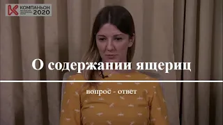 Содержание ящериц в вопросах и ответах.