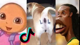 BEST UNUSUAL Memes PART #21  Funny Videos Compilation 2024 😂😁😆 TRY NOT TO LAUGH