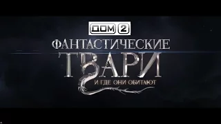 фантастические ТВАРИ и где они обитают - Дом 2