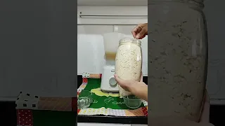 leite condensado Vegano (1)
