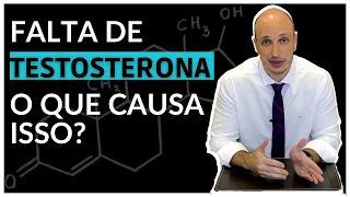 Falta de Testosterona: Quais as causas?