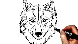 How To Draw A Wolf | Step by Step