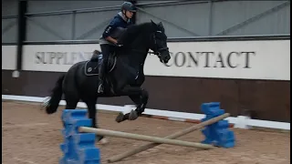 my show jumper groom lewis jumps gee?!?!?!?!?