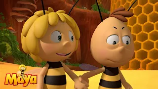 Willy is motivated - Maya the bee🐝🍯🐝