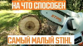 Самая маленькая пила STIHL GTA 26 на аккумуляторе | Тест и обзор