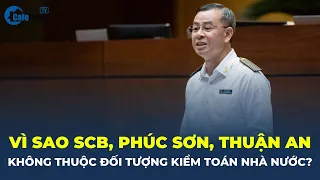 Vì sao SCB, Phúc Sơn, Thuận An KHÔNG THUỘC đối tượng kiểm toán Nhà nước? | CafeLand