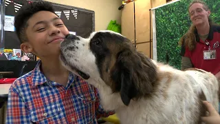 Dogs Help Elementary School Kids Read Aloud