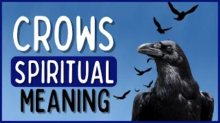 Spiritual Meaning of Crows | CROW SPIRIT ANIMAL MEANING 🖤 | Chasing Solana ☀️💛🌻