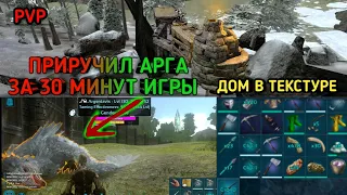 лучший старт на пвп сервере  Ark mobile pvp  (fresh start)