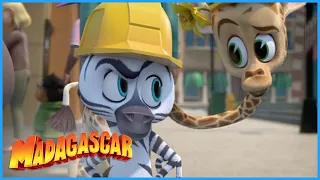 Trying to hide! | DreamWorks Madagascar