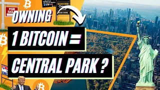 1 BITCOIN Equals How Much Real Estate?!  - Comparing Scarcity of Bitcoin to Habitable Land on Earth.