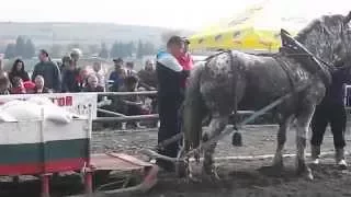 Кон Лорд, с.Торос- шампион в 3-та катогория