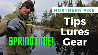 Northern Pike Fishing Tips and Gear