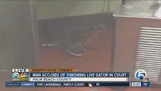 Jupiter man to appear in court after gator tossed into Wendy's restaurant