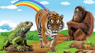 Summary of Animals: Iguana, Tiger, Orangutan, Hippopotamus - Animal Paradise