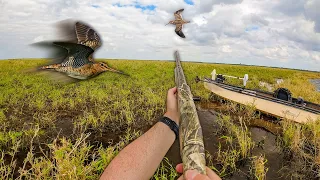 FASTEST Bird in the MARSH! Florida Snipe Hunting (Catch Clean Cook)