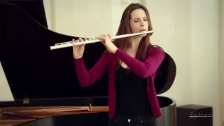 FLUTES - What Makes Them Different?