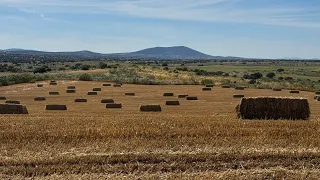 Qué barbaridad !!! Como está el campo este año . Espectacular