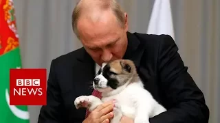 Putin got a puppy from Turkmenistan for his birthday - BBC News