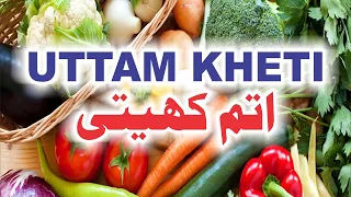 Inauguration of first Branch of Vegitable retail shop Utam Kheti.