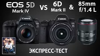 Canon 5D Mark 4,  6d mark 2 и новый 85 1,4 L Is usm ЭКСПРЕСС ТЕСТ