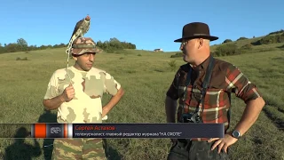 Охота на ястреба и с ястребом Hunting for hawk and hunting with hawk