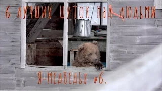 6 лучших шуток над людьми//  Шутки от Мишутки//  Бурый медведь#6 // Детям о животных//Природа шоу