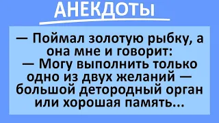 Большой мужской орган или хорошая память? Сборник анекдотов смешных до слез! Юмор!