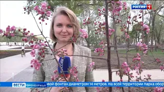 Губернатор Денис Паслер доволен благоустройством парка имени Ленина в Оренбурге