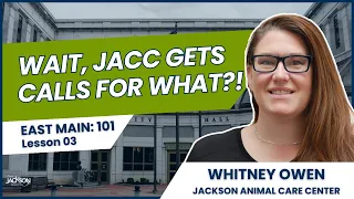 East Main: 101 | Lesson 03 - Whitney Owen, Jackson Animal Care Center