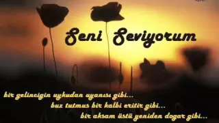 Seni seviyorum