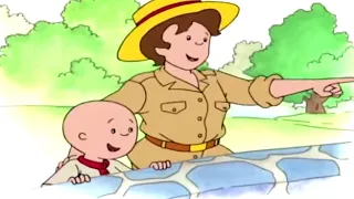 Caillou és a Kaland a Természetben | Caillou Magyarul - WildBrain