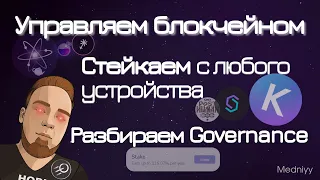 Как участвовать в управлении сети? Разбираем Governance, Staking с компьютера и смартфона.