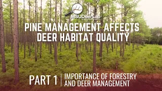 Part 1: Importance of Forestry and Deer Management