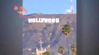 Любитель марихуаны превратил надпись: "Голливуд" в Hollyweed