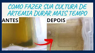 COMO FAZER A MANUTENÇÃO E LIMPEZA DO TANQUE DA ARTEMIA