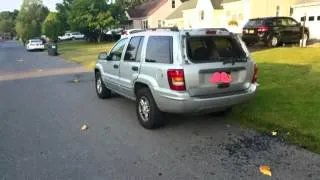 4 teens charged with felony after vandalizing car with pumpkins