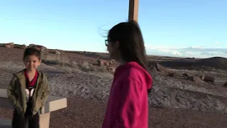 Painted Desert and Petrified Forest