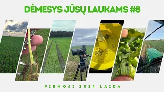 Dėmesys Jūsų laukams #8