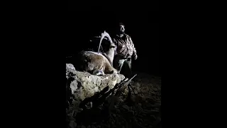 Halil Uslu Finike TEKE Avı / Goat Hunt / Dağ Keçisi Avı / Bezoar İbex Hunting