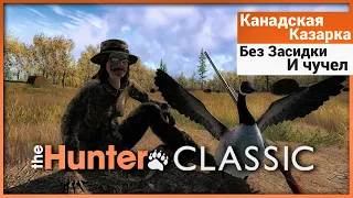 Как охотиться на Казарку без засидки и чучел в theHunter: Classic